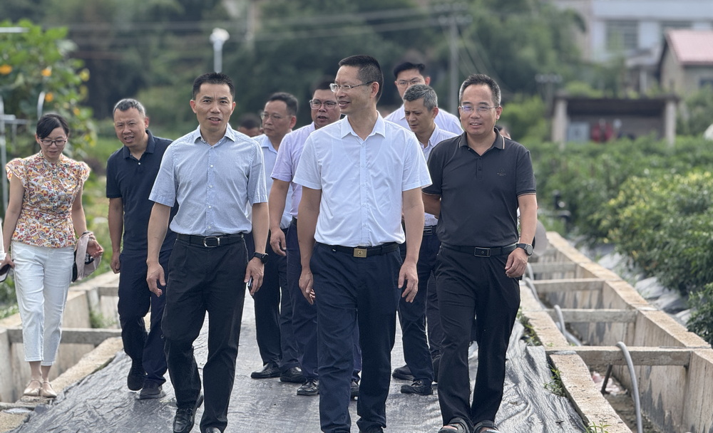 省農業農村廳副廳長馬艷青赴湖南興蔬種業有限公司檢查安全生產工作